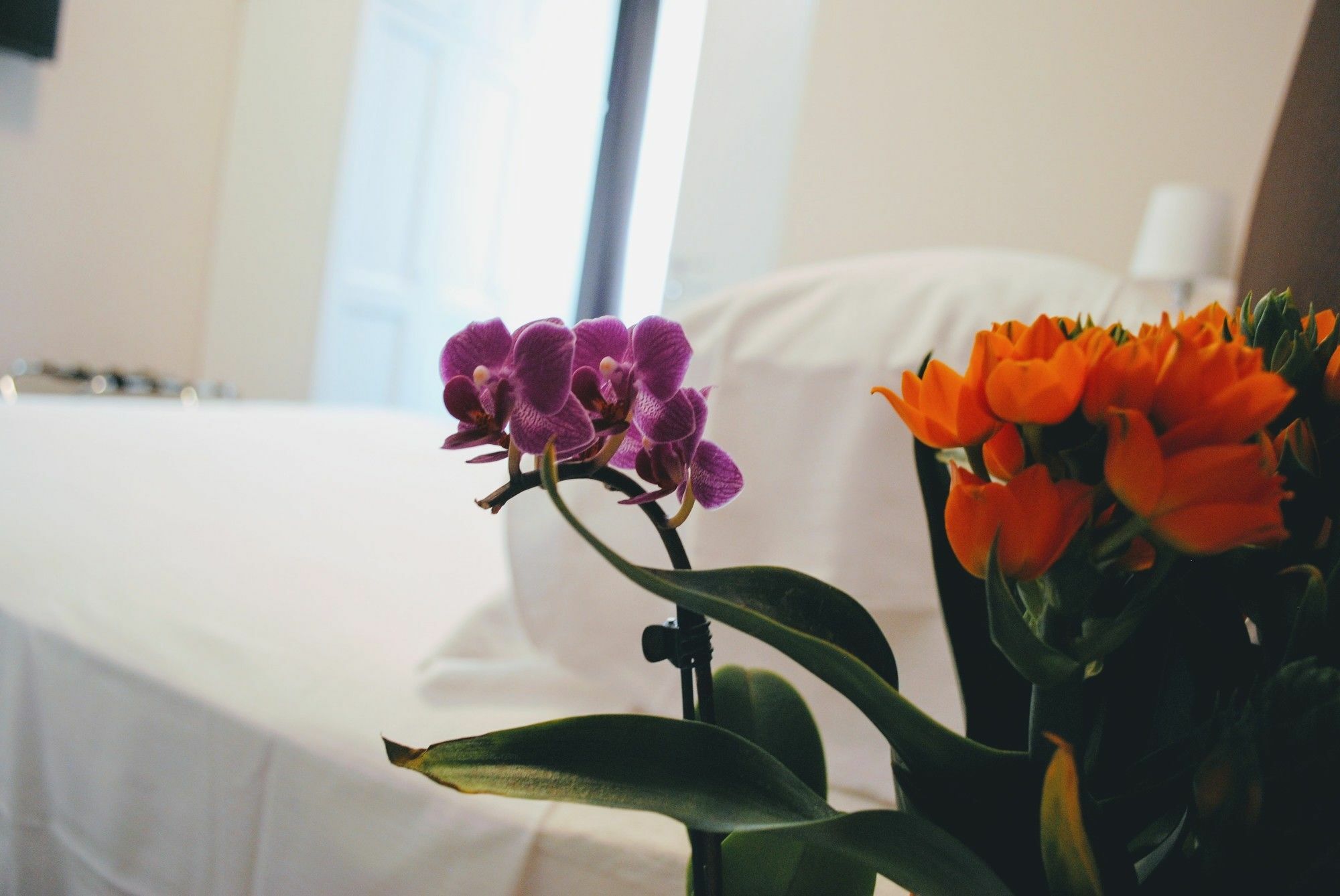 Guest House Cavour 278 Roma Exterior foto